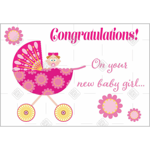 New Baby Girl topper - landscape