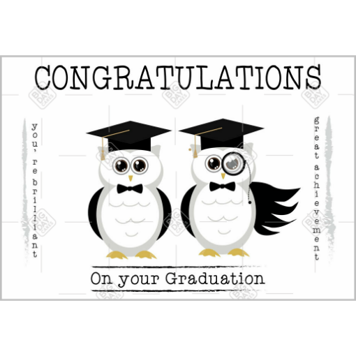 Graduation Owls topper - landscape