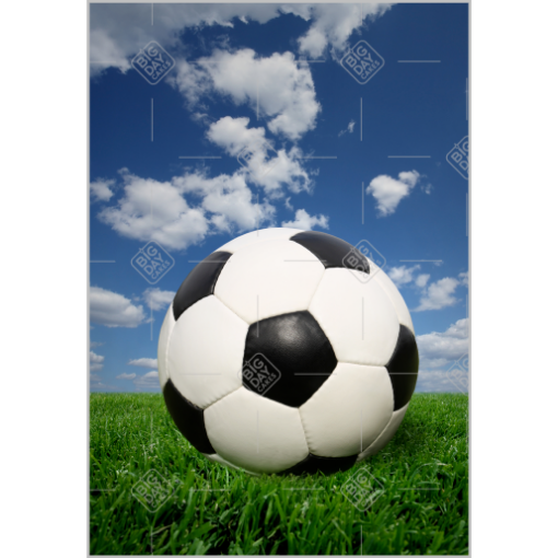 Football topper - portrait