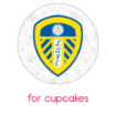 Leeds-pattern-HB  frame - cupcakes