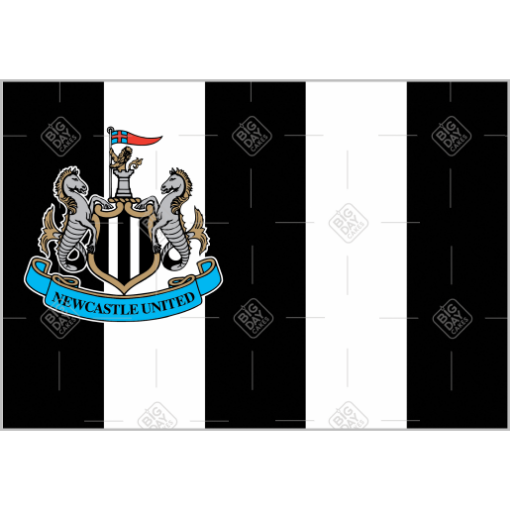 Newcastle United Black and White topper - landscape