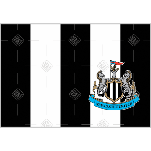 Newcastle United Happy Birthday topper