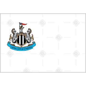 Newcastle United white design topper - landscape