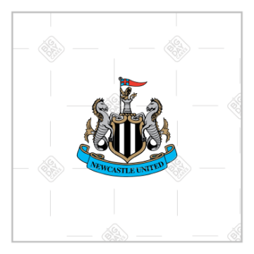 Newcastle United white design topper - square