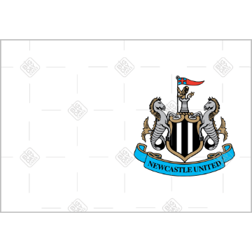 Newcastle United Happy Birthday white design topper - landscape