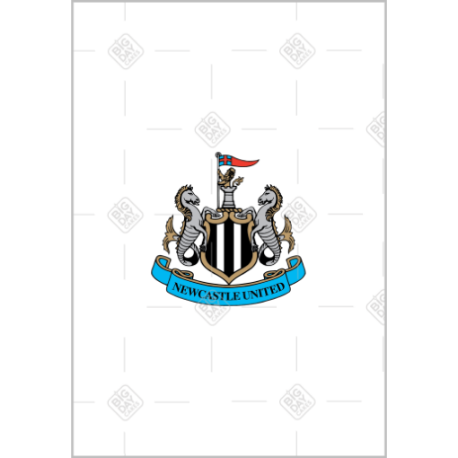 Newcastle United Happy Birthday white design topper - portrait