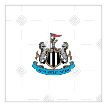 Newcastle United Happy Birthday white design topper - square