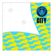Man City Flags Electric Yellow frame - square