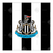 Newcastle United Black and White topper - square