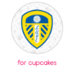 Leeds pattern HB topper - cupcakes